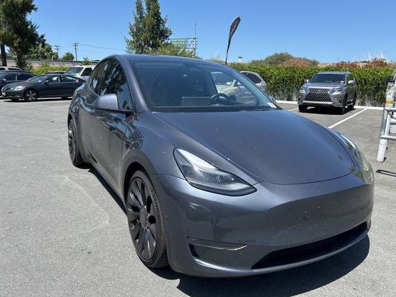 TESLA MODEL Y 2022 7SAYGDEF2NF454510 image